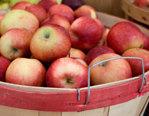 Organic Apples: Better Taste, Comparable Yields Image